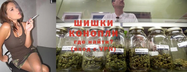 крисы Армянск