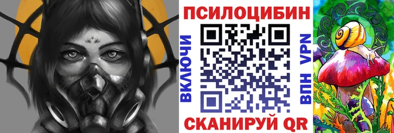 Купить где  Углич  Галлюциногенные грибы Psilocybine cubensis 